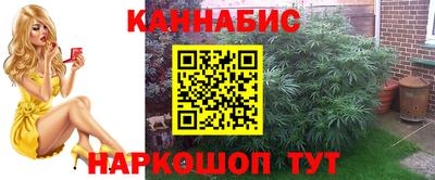 мдпв Пенза