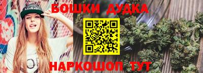 мдпв Пенза