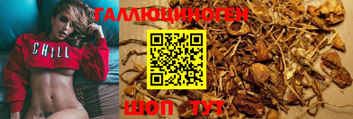 Псилоцибиновые грибы MAGIC MUSHROOMS Салехард